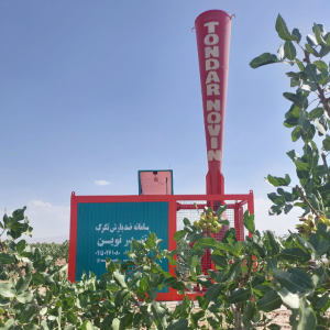 تگرگ